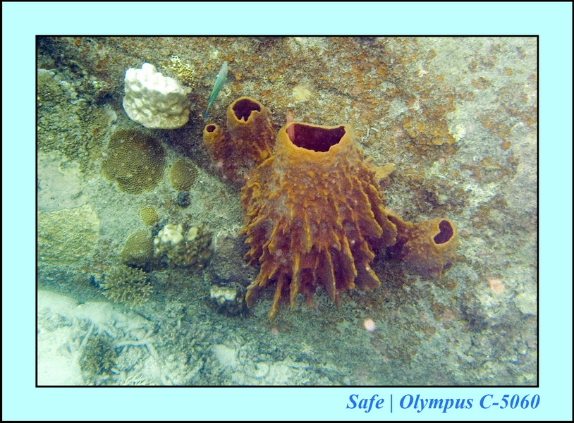 2008 - 07 - Perhentian - 021